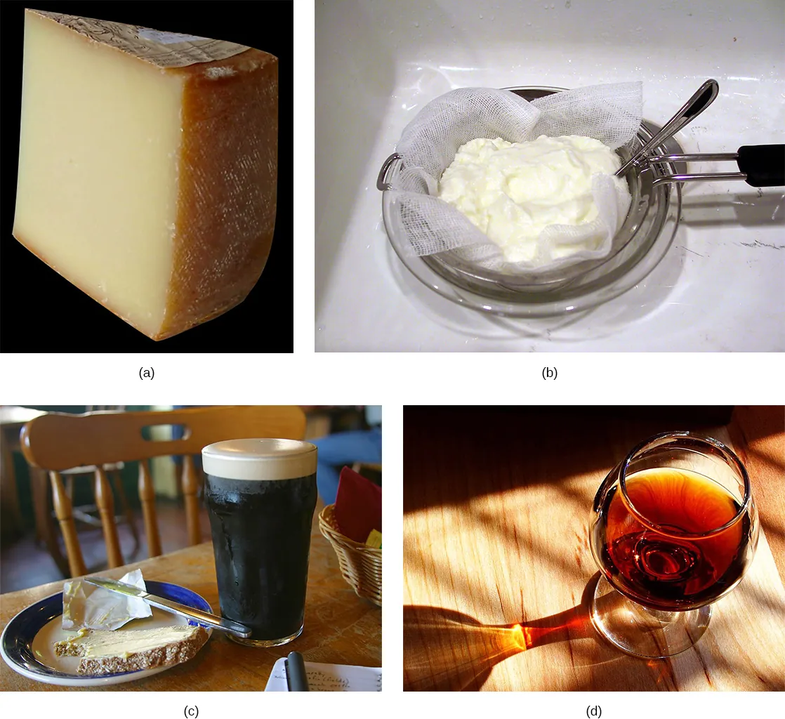 The photo collage shows cheese, yogurt, wine, and beer and bread.