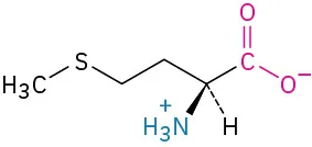 The structure of L-methionine. It has a carbon linked to two methylene groups linked to sulfur and methyl group, carboxylate ion, dashed hydrogen, and wedged ammonia ion.