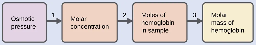 This is a diagram with four boxes oriented horizontally and linked together with arrows numbered 1 to 3 pointing from each box in succession to the next one to the right. The first box is labeled, “Osmotic pressure.” Arrow 1 points from this box to a second box labeled, “Molar concentration.” Arrow 2 points from this box to to a third box labeled, “Moles of hemoglobin in sample.” Arrow labeled 3 points from this box to a fourth box labeled, “Molar mass of hemoglobin.”