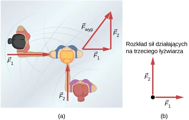 Rysunek a przedstawia dwoje ludzi, z których każdy działa na trzeciego człowieka odpowiednio F1 i F2. Siły te są do siebie wzajemnie prostopadłe. Z kolei na tym samym rysunku z prawej strony przedstawiono rozkład sił działających na osobę trzecią, gdzie F1 i F2 to siły pochodzące od człowieka pierwszego i drugiego. Wówczas całkowita siła stanowi geometryczną sumę wektorów F1 i F2 i jest ona przeciwprostokątną w trójkącie przedstawionym na rysunku. Rysunek b pokazuje rozkład sił działających na osobę trzecią. Zauważmy, że siły F1 oraz F2 przyłożone są w tym samym punkcie.