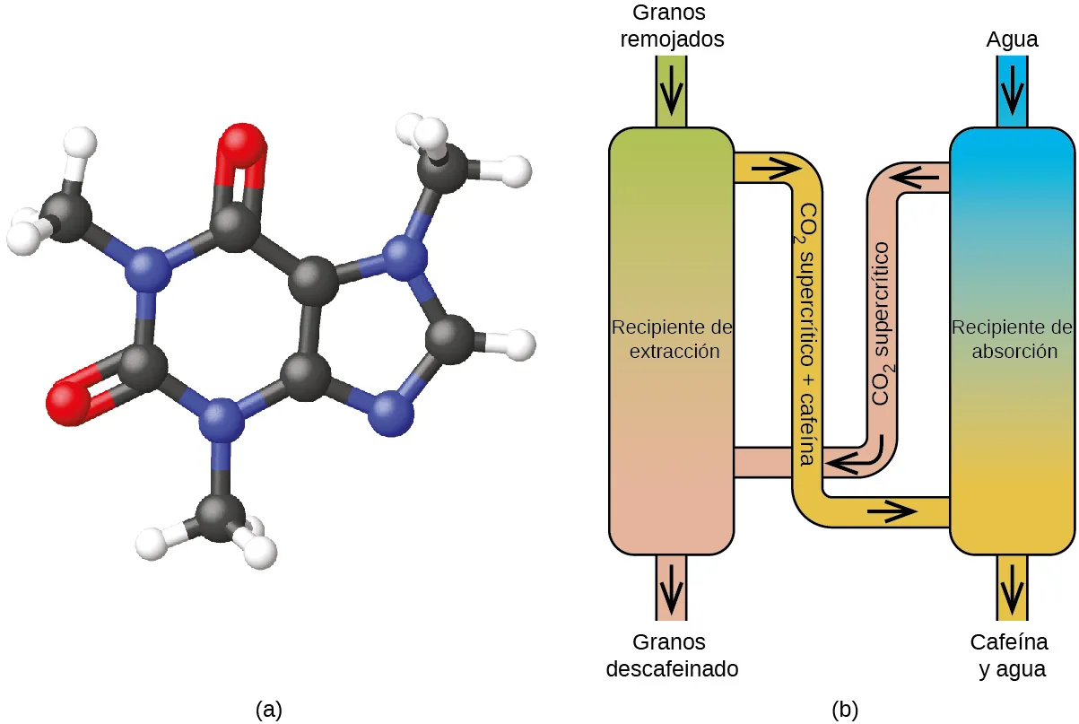 Se muestran dos imágenes marcadas como "a" y "b". La imagen a muestra una molécula compuesta por un anillo de cinco miembros compuesto por dos esferas azules y tres negras. Una de las esferas azules está enlazada con una esfera negra enlazada con tres esferas blancas y una de las esferas negras está enlazada con una esfera blanca. Las otras dos esferas negras están unidas por doble enlace y forman un lado de un anillo de seis miembros que también está compuesto por otras dos esferas negras y dos azules, ambas enlazadas a una esfera negra enlazada a tres esferas blancas. Las esferas negras tienen doble enlace con las esferas rojas. La imagen b muestra un diagrama de dos tubos verticales que se encuentran uno al lado del otro. El tubo de la izquierda está marcado como "Recipiente de extracción". En la parte superior del tubo hay un pequeño tubo marcado como "Granos remojados" y en la parte inferior una marca que se lee "Granos descafeinados". El tubo de la derecha está marcado como "Recipiente de absorción". Un tubo cerca de la parte superior de este tubo está marcado como "Agua" y otro tubo conduce desde el tubo derecho al izquierdo. Este tubo está marcado con una flecha hacia la izquierda y la frase "dióxido de carbono supercrítico". Hay un tubo que sale del fondo y que lleva la marca "Cafeína y agua". Hay otro tubo que va del recipiente de extracción al de absorción que lleva la marca "C O supercrítico subíndice 2 más cafeína".