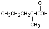 The structure of 2-methylpentanoic acid comprising of a five carbon chain with a C O O H group at C 1 and a methyl group at C 2.
