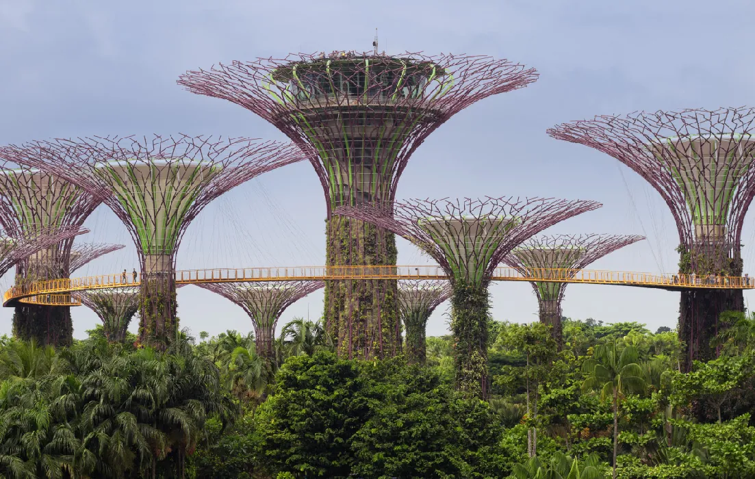 A green infrastructure landscape shows supertrees, buildings with branch-like structures, above the tree line of natural trees and connected together by a circular bridge.