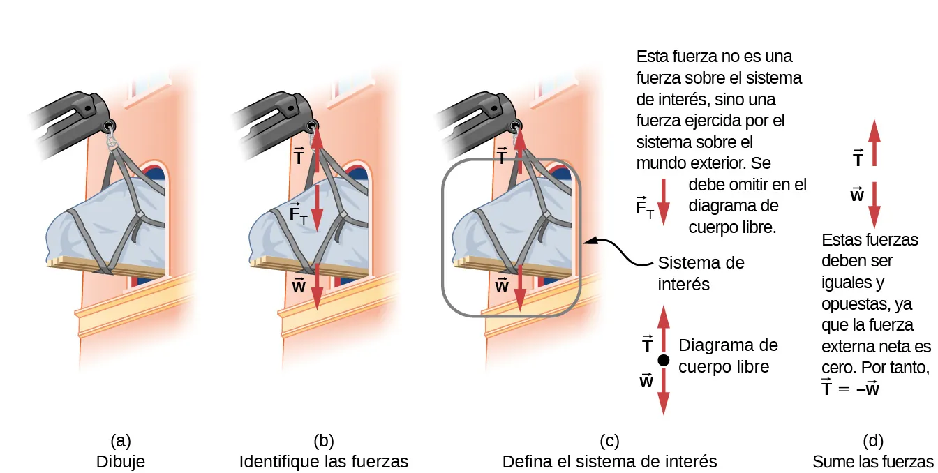 Esta figura muestra el desarrollo del diagrama de cuerpo libre de un piano que se levanta y pasa por una ventana. La Figura a es un esquema que muestra el piano colgado de una grúa y a medio camino de una ventana. La Figura b identifica las fuerzas. Muestra el mismo esquema con la adición de las fuerzas, representadas como flechas vectoriales marcadas. El vector T apunta hacia arriba, el vector F sub T apunta hacia abajo, el vector w apunta hacia abajo. La Figura c define el sistema de interés. El esquema se muestra de nuevo con el piano encerrado por un círculo e identificado como el sistema de interés. En este diagrama solo se incluyen los vectores T arriba y w abajo. La fuerza descendiente F sub T no es una fuerza sobre el sistema de interés ya que se ejerce sobre el mundo exterior. Debe omitirse en el diagrama de cuerpo libre. También se muestra el diagrama de cuerpo libre. Consiste en un punto, que representa el sistema de interés, y los vectores T apunta hacia arriba y w apunta hacia abajo, con sus colas en el punto. La Figura d muestra la suma de las fuerzas. Se muestran los vectores T y w. Se nos dice que estas fuerzas deben ser iguales y opuestas, ya que la fuerza externa neta es cero. Por lo tanto, T es igual a menos w.