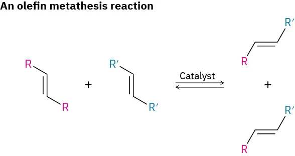 An alkene with two R groups reacts with an alkene with two R prime groups in presence of catalyst forming two alkene products each with R and R prime groups.