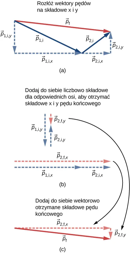 Rysunek podzielony na 3 części. Pierwsza (a) zatytułowana: „rozłóż wektory pędów na składowe x i y” pokazuje wektor „p1przed” jako strzałkę narysowaną linią ciągłą skierowaną w prawo-w dół. Składową wektora „p1y przed” narysowano linią przerywaną z początku wektora p1 pionowo w dół, a składową „p1x przed” poprowadzono z końca wektora „p1y przed” poziomo w prawo do zakończenia wektora „p1przed”. Wektor „p2przed” narysowano linią ciągłą zaczynając ze strzałki wektora „p1przed” i jest on krótszy niż wektor „p1przed”. Wektor „p2przed” skierowany jest ukośnie w prawo i w górę. Jego składowe narysowano liniami przerywanymi: „p2xprzed” poprowadzony jest w prawo z początku wektora „p2przed”, a „p2yprzed” poprowadzono w górę z końca wektora „p2xprzed” do strzałki wektora „p2przed”. Wektor „ppo” rozpoczyna się w początku wektora „p1przed” a kończy w strzałce wektora „p2przed”, skierowany jest on w prawo, nieznacznie w dół. Rysunek (b) zatytułowany: dodaj do siebie liczbowo składowe dla odpowiednich osi, aby otrzymać składowe x i y pędu końcowego pokazuje sumy poszczególnych składowych. Wektor „p1yprzed” skierowany jest pionowo w dół, wektor „p1yprzed” skierowany jest pionowo w górę, jest jednak krótszy. Wektor „pypo” będący ich sumą jest więc krótki i skierowany pionowo w dół. Wektor „p1xprzed” skierowany jest w prawo, wektor „p2xprzed” również, więc wektor „p2ypo” będący ich sumą skierowany jest również w prawo i równy łącznej długości obu wektorów, rozpoczyna się w początku wektora „p1xprzed” a kończy w końcu wektora „p2xprzed”. Rysunek c, zatytułowany: dodaj do siebie wektorowo otrzymane składowe pędu końcowego pokazuje trójkąt prostokątny utworzony z przyprostokątnych „pxpo” i „pypo” oraz przeciwprostokątnej „ppo”. Styl graficzny i orientacja wektorów są takie same jak na rysunkach a i b.