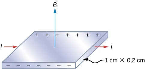 Pokazana jest srebrna listwa z prądem płynącym na prawo, polem magnetycznym skierowanym ku górze, ujemnymi ładunkami zgromadzonymi na bliższym nam krańcu i dodatnimi zgromadzonymi na dalszym. Wymiary listwy to 1,0 cm i 0,20 cm. 