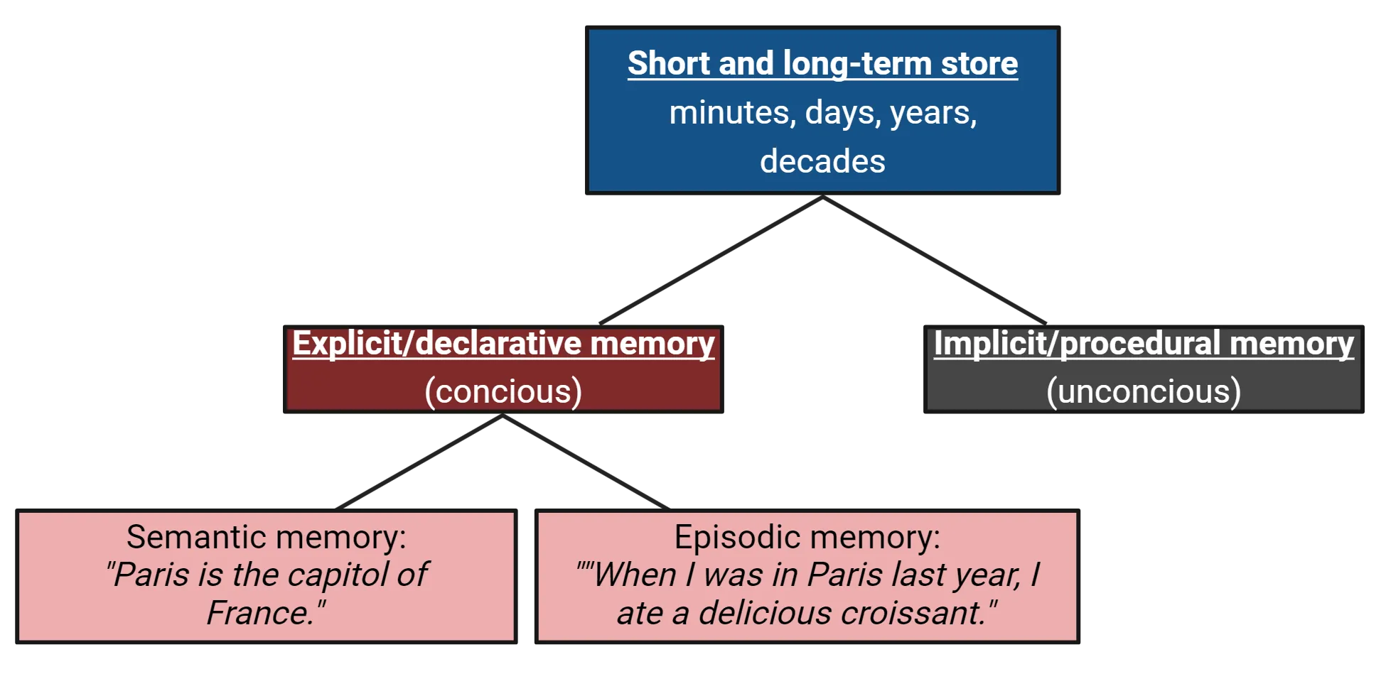 Hierarchical structure of memory types. Short and long-term store (minutes, days, years, decades) is on top, composed of explicit/declarative memory (conscious) and implicit/procedural memory (unconscious). Explicit memory is composed of semantic memory (“Paris is the capital of France”) and episodic memory (“When I was in Paris last year, I ate a delicious croissant.”).