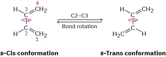 A four-carbon chain with two alternate double bonds having s-cis conformation undergoes bond rotation at C 2-C 3 to form s-trans conformation.