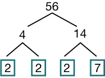 A factor tree for 56: 56 splits into 4 and 14. 4 splits into 2 and 2. 14 splits into 2 and 7. The prime factors 2, 2, 2, and 7 are highlighted in boxes.