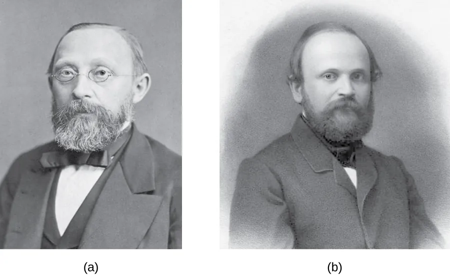 Virchow and Remak
