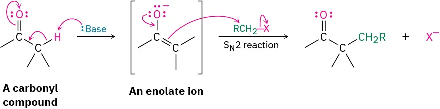 Base abstracts alpha proton of carbonyl to produce carbanion, shown in resonance with enolate. Enolate attacks R C H 2 X via S N 2 to produce alpha substituted carbonyl.