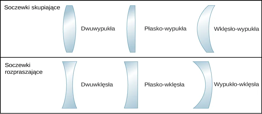 Figura pokazuje trzy soczewki skupiające and i trzy soczewki rozpraszające. Soczewki skupiające to: dwuwypukła, posiadająca dwie wypukłe powierzchnie, płasko- wypukła, z jedną płaską i jedną wypukłą powierzchnią i soczewka meniskowa, posiadająca jedną płaską i jedną wypukłą powierzchnię, przy czym część wypukła ma mniejszy promień krzywizny. Soczewki rozpraszające to: dwuwklęsła, płasko- wklęsła, posiadająca jedną wklęsłą i jedną płaską powierzchnię i soczewka meniskowa z jedną wklęsłą i jedną wypukłą powierzchnią, przy czym część wklęsła posiada mniejszy promień krzywizny.