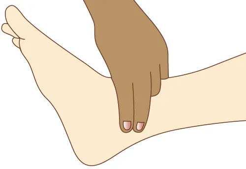 Diagram showing taking tibial pulse