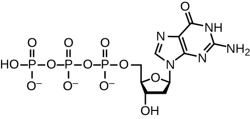 Diagram of dGTP. Description below.