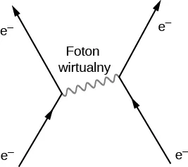 Rysunek przedstawia cztery strzałki oznaczone e minus. Pierwsza biegnie do góry w lewo i spotyka początek drugiej biegnącej do góry w lewo. Po prawej stronie jedna strzałka biegnie do góry w lewo, a druga biegnie do góry w prawo. Punkty styku tych par strzałek połączone są falistą linią podpisaną foton wirtualny. Ta falka jest skierowana lekko w górę bliżej prawego końca.