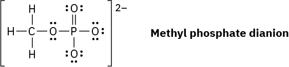 Structure of phosphorus with double bond to oxygen, two single bonds to oxygen, and single bond to O C H 3, all in brackets with a negative 2 charge overall.