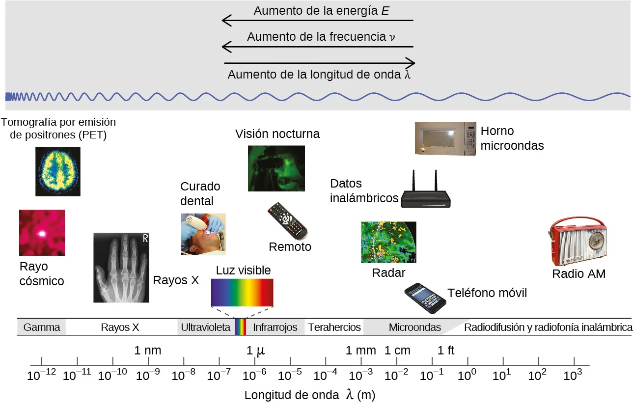 La figura incluye una parte del espectro electromagnético que se extiende desde la radiación gamma en el extremo izquierdo, pasando por los rayos X, ultravioleta, visible, infrarrojo, terahercios y microondas, hasta la radiodifusión y la radio inalámbrica en el extremo derecho. En la parte superior de la figura, dentro de un cuadro gris, hay tres flechas. La primera apunta a la izquierda y está etiquetada como "Aumento de la energía E". Justo debajo de la primera se coloca una segunda flecha que también apunta a la izquierda y etiquetada como "Aumento de la frecuencia nu". Justo debajo se colocó una tercera flecha que apunta a la derecha y que está etiquetada como "Lambda de longitud de onda creciente". Dentro de la caja gris cerca de la parte inferior hay un patrón de onda sinusoidal azul que se mueve horizontalmente a través de la caja. En el extremo izquierdo, las ondas son cortas y están muy juntas. Se alargan gradualmente moviéndose de izquierda a derecha a través de la figura, lo que resulta en ondas significativamente más largas en el extremo derecho del diagrama. Debajo del recuadro gris hay una variedad de fotos alineadas sobre los nombres de los tipos de radiación y una escala numérica que lleva la etiqueta "Longitud de onda lambda ( m )". Esta escala va desde 10 superíndice menos 12 metros bajo radiación gamma aumentando por potencias de diez hasta un valor de 10 superíndice 3 metros en el extremo derecho bajo emisión y radio inalámbrica. Los rayos X aparecen alrededor de 10 superíndice menos 10 metros, el ultravioleta aparece en el rango de 10 superíndice menos 8 metros a 10 superíndice menos 7 metros, la luz visible aparece entre 10 superíndice menos 7 metros y 10 superíndice menos 6 metros, el infrarrojo aparece en el rango de 10 superíndice menos 6 metros a 10 superíndice menos 5 metros, el teraherz aparece en el rango de 10 superíndice menos 4 metros a 10 superíndice menos 3 metros, el infrarrojo de microondas aparece en el rango de 10 superíndice menos 2 metros a 10 superíndice menos 1 metros, y la radiodifusión y la radio inalámbrica se extienden de 10 a 10 superíndice 3 metros. Las etiquetas sobre la escala se colocan para indicar 1 n m a 10 superíndice menos 9 metros, 1 micrón a 10 superíndice menos 6 metros, 1 milímetro a 10 superíndice menos 3 metros, 1 centímetro a 10 superíndice menos 2 metros, y 1 pie entre 10 superíndice menos 1 metros y 10 superíndice 0 metros. Debajo del recuadro gris y encima de la escala de la figura se han colocado diversas imágenes para ofrecer ejemplos de aplicaciones relacionadas que utilizan la radiación electromagnética en el rango de la escala que hay debajo de cada una. Las fotos de la izquierda, por encima de la radiación gamma, muestran rayos cósmicos y una imagen multicolor de una tomografía por emisión de positrones (Positron Emission Tomography, PET) de un cerebro. Sobre los rayos X aparece una imagen en blanco y negro de una mano. La imagen de un paciente que se somete a un trabajo dental, con una luz azul que se dirige a su boca, está etiquetada como "curado dental" y se muestra por encima de la radiación ultravioleta. Entre las etiquetas ultravioleta e infrarroja hay una banda estrecha de colores violeta, índigo, azul, verde, amarillo, naranja y rojo en franjas estrechas y verticales. A partir de esta estrecha banda, dos líneas discontinuas se extienden un poco más arriba, a la izquierda y a la derecha, de una imagen del espectro visible. La imagen, etiquetada como "luz visible", no es más que una versión más amplia de las bandas estrecha de color de la zona de la etiqueta. Por encima de los infrarrojos hay imágenes de un control de televisión y una imagen de visión nocturna en negro y verde. En el extremo izquierdo de la región de microondas, se muestra una imagen de radar por satélite. Justo a la derecha de esto, y todavía por encima de la región de las microondas, hay imágenes de un teléfono móvil, un router inalámbrico etiquetado como "datos inalámbricos" y un horno microondas. Por encima de la radiodifusión y la radio inalámbrica hay dos imágenes. La imagen de la izquierda es una ecografía médica en blanco y negro. En el extremo derecho de la imagen se encuentra una radio AM inalámbrica, también por encima de la radiodifusión y la radio inalámbrica.