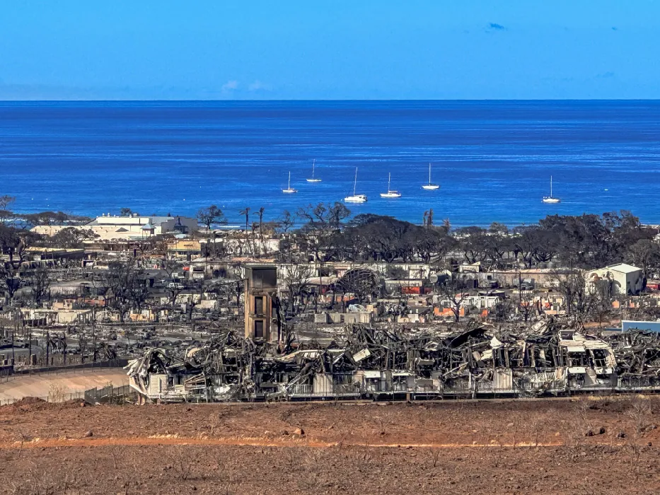Burned trees and buildings next to the ocean in Maui.