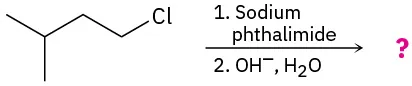 1-Chloro-3-methylbutane reacts with sodium phthalimide, then hydroxide ion and water to form an unknown product represented by a question mark.