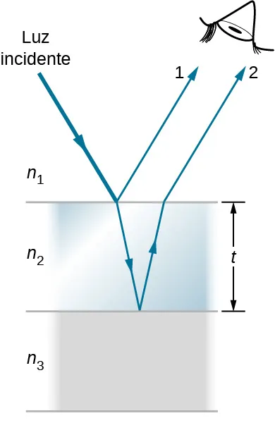 La imagen es un dibujo esquemático de la luz sometida a interferencia por una película delgada con el grosor t. La luz que incide en una película delgada se refleja parcialmente (rayo 1) y se refracta parcialmente en la superficie superior. El rayo refractado se refleja parcialmente en la superficie inferior y emerge como rayo 2.