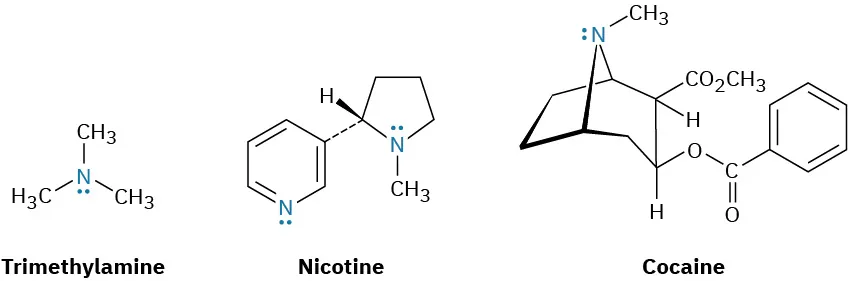 Structures of trimethylamine, nicotine, and cocaine, where the nitrogen atom in each structure is highlighted.
