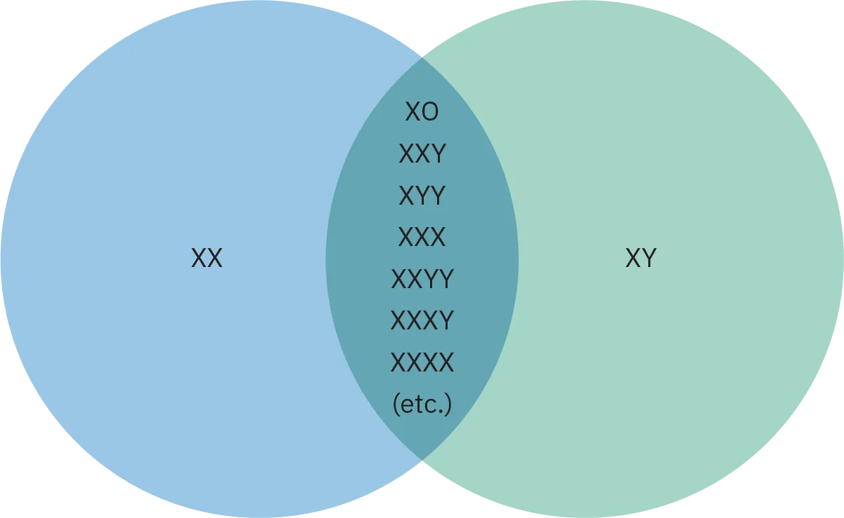 A Venn diagram. In the left circle there are two large XXs. In the right a large X and a large Y. In the center where the circles overlap are the letters XO, XXY,XYY, XXX,XXYY,XXXY,XXXX, (etc.)