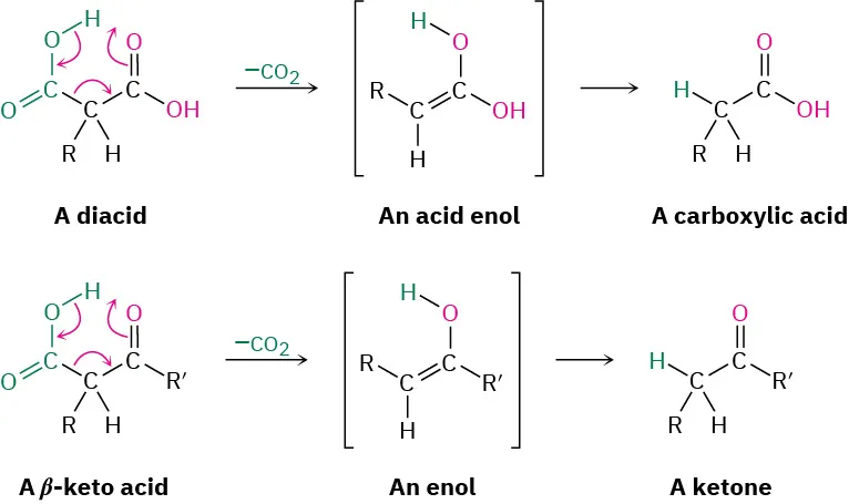 A diacid undergoes decarboxylation to form an acid enol, which, in turn, forms a carboxylic acid as the product. A beta-keto acid undergoes decarboxylation to form an enol which tautomerizes to a ketone.