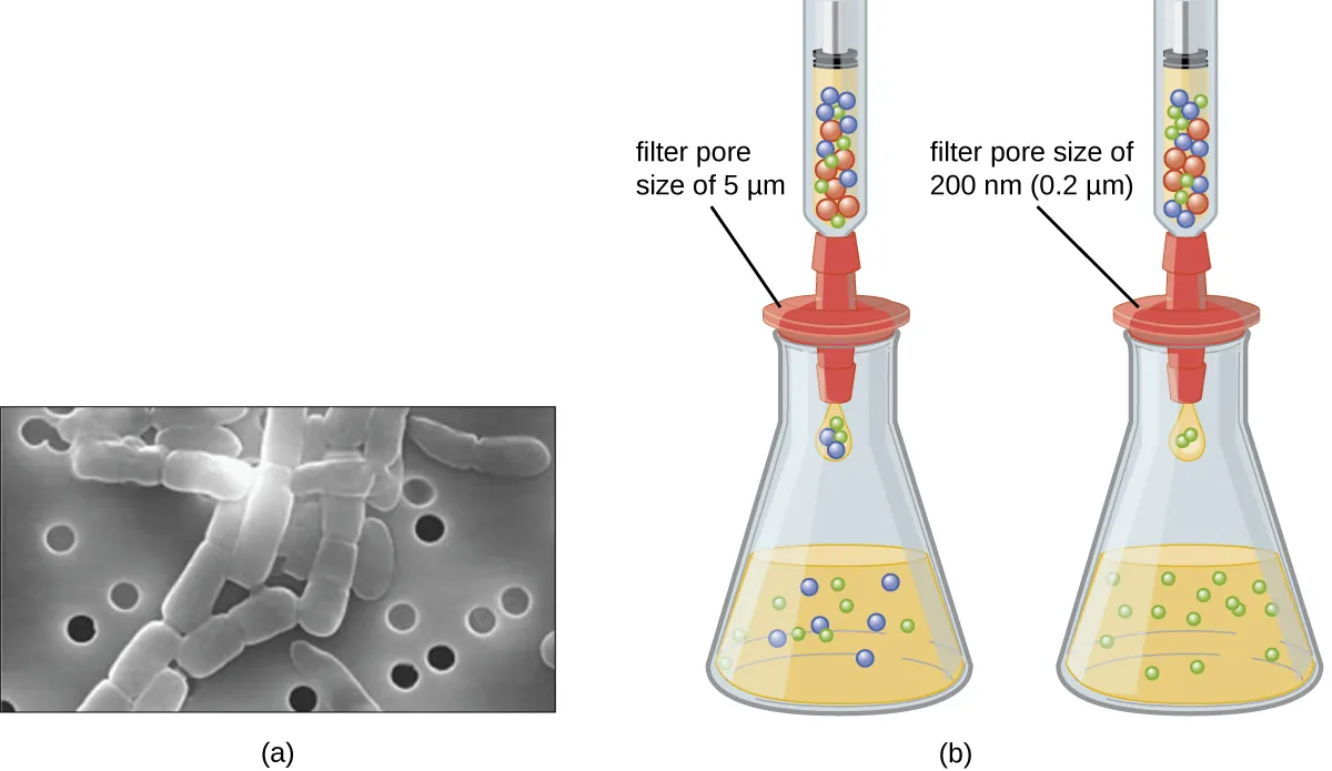 Isolation of viruses. Description below.