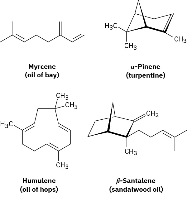 The structures of myrcene (oil of bay), alpha-pinene (turpentine), humulene (oil of hops), and beta-santalene (sandalwood oil).