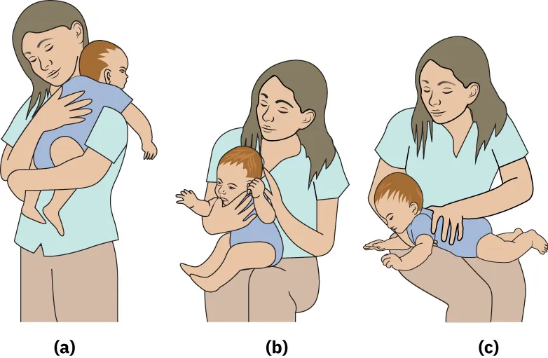 Diagram showing positions for effective burping: over the care-giver's shoulder, sitting in the caregiver's lap, and lying on the caregiver's lap.