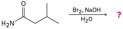 3-Methylbutanamide reacts with bromine, sodium hydroxide, and water to form an unknown product represented by a question mark.