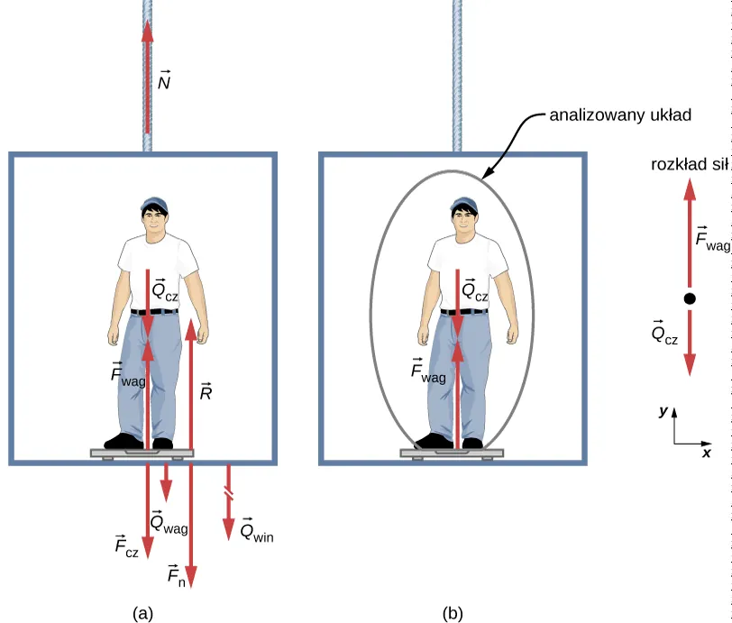 (a) Człowiek stoi na wadze łazienkowej w windzie. Siła ciężkości Q sub cz jest przedstawiona w postaci wektora skierowanego w dół przyłożonego do jego klatki piersiowej. F sub w jest siłą wywieraną przez wagę na człowieka, przedstawioną w postaci wektora skierowanego pionowo w górę, przyłożonego do stóp człowieka. Q sub wag jest ciężarem wagi w postaci wektora przyłożonego do wagi i skierowanego pionowo w dół. F sub cz jest siłą wywieraną przez człowieka na wagę, przedstawioną w postaci wektora przyłożonego do wagi i skierowanego pionowo w dół. F sub n jest siłą nacisku wagi na podłogę windy, skierowaną pionowo w dół, zaś R jest siłą normalną do podłoża (siłą reakcji podłogi na wagę), przyłożoną w miejscu styku windy i wagi, skierowaną pionowo w górę. b) Ten sam człowiek stoi na wadze w windzie, ale tylko dwie siły są uwzględnione na tym rysunku. Wynika to z faktu, że jako analizowany układ zaznaczony jest tylko człowiek. Q jest ciężarem człowieka skierowanym w dół, zaś F sub wag jest siłą wywieraną przez wagę na człowieka skierowaną w górę. Rozkład sił przedstawia dwa wektory sił przyłożone do jednego punktu: wektor Q skierowany pionowo w dół i wektor F sub cz skierowany pionowo w górę. Przyjęty prostokątny układ współrzędnych zawiera oś x skierowaną poziomo w prawo i oś y skierowaną pionowo w górę.