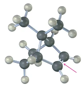 The ball-and-stick model shows twisted cyclohexane with a double bond between C2-C3. C1 and C4 are connected by a 2-carbon chain, with one carbon bonded to a methyl.
