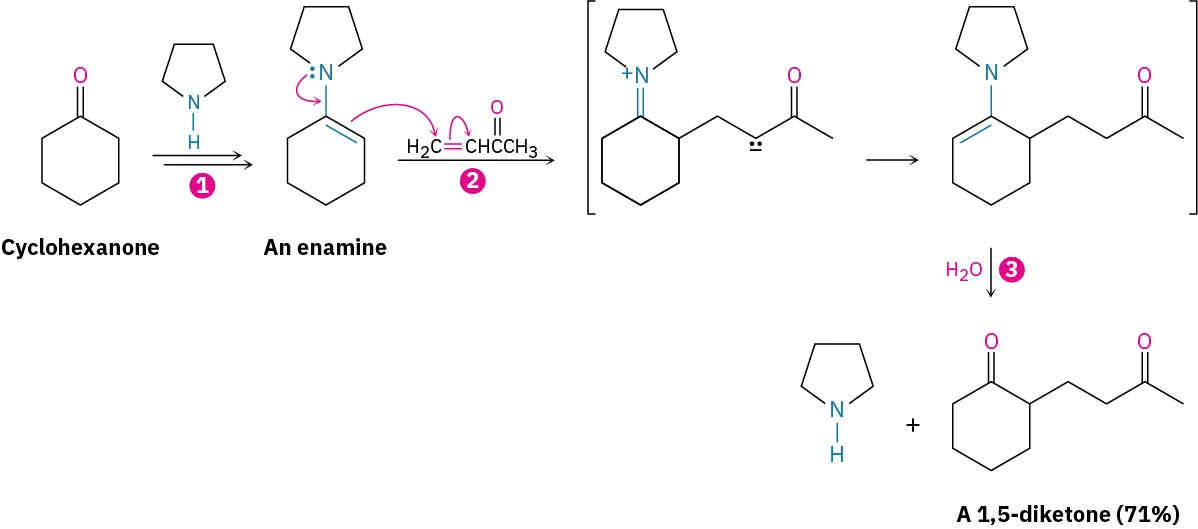 The reaction shows cyclohexanone with pyrrolidine to form enamine in step one. The enamine reacts with 3-buten-2-one (step two), giving intermediates which, on hydrolysis, produce 1,5-diketone (seventy-one percent) and pyrrolidine.