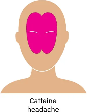 A drawing of a person’s face with a pink highlight on the middle area, showing where pain caused by caffeine excess or quitting is reflected.