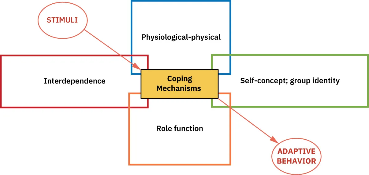 Diagram showing Roy’s adaptation model, including coping mechanisms, stimuli, adaptive behavior, physiological-physical, interdependence, self-concept; group identity, and role function.