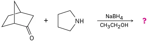 (1 R,4 S)-Bicyclo[2.2.1]heptan-2-one reacts with pyrrolidine in the presence of sodium borohydride and ethanol to form an unknown product represented by a question mark.
