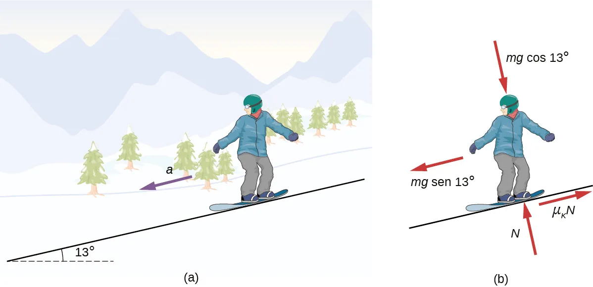 La Figura (a) ilustra a una surfista sobre nieve en una pendiente inclinada a 13 grados sobre la horizontal. La flecha indica una aceleración, a, dirigida hacia abajo. La Figura (b) muestra el diagrama de cuerpo libre de la surfista sobre nieve. Las fuerzas son m g coseno de 13 grados hacia la pendiente, perpendicular a la superficie, N, fuera de la pendiente, perpendicular a la superficie, m g seno de 13 grados pendiente abajo paralela a la superficie y mu sub k por N, pendiente arriba paralela a la superficie.