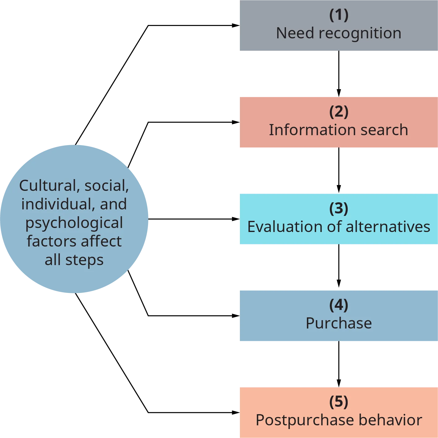 A circle has arrows connecting to a 5 step process. The circle is labeled as follows. Cultural, social, individual, and psychological factors affect all steps. Each step flows into the next. Step 1, need recognition. Step 2, information search. Step 3, evaluation of alternatives. Step 4, purchase. Step 5, post purchase behavior.
