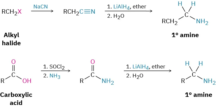 Alkyl halide reacts with sodium cyanide, then lithium aluminum hydride, then water. Carboxylic acid reacts with thionyl chloride, then ammonium, then lithium aluminum hydride, then water. Both form primary amine.