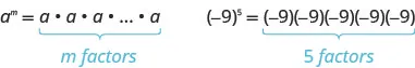 First example: a raised to the power of m equals a times a times a times a and so on until you have multiplied m different factors of a together. Second example: the quantity negative 9 raised to the power of 5 equals negative 9 times negative 9 times negative 9 times negative 9 times negative 9, a total of 5 factors of negative 9.