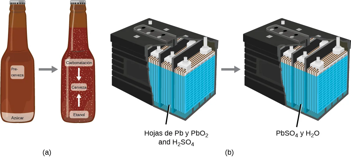 El diagrama A muestra una botella de cerveza que contiene cerveza previa y azúcar. Una flecha señala desde esta botella a una segunda botella. Esta segunda botella contiene el mismo volumen de líquido, sin embargo, el azúcar se ha convertido en etanol y carbonatación al transformarse en cerveza. El diagrama B muestra una batería de automóvil que contiene láminas de P B y P B O subíndice 2 junto con H subíndice 2 S O subíndice 4. Una vez utilizada la batería, contiene una masa igual de P B S O subíndice 4 y H subíndice 2 O.