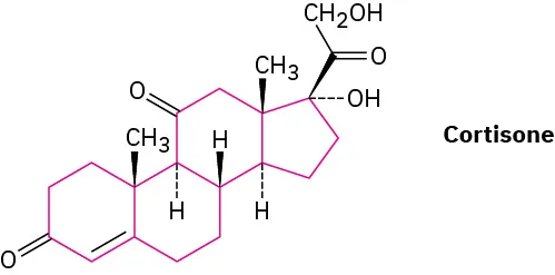 The wedge-dash structure of cortisone.