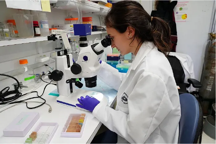Photo of individual in lab coat and rubber gloves using a microscope.