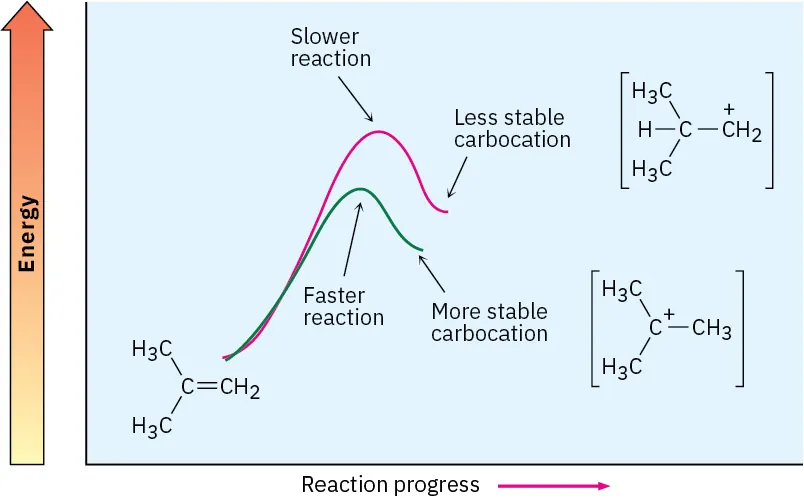 Energy diagram for reaction of 2-methyl-1-propene with two profiles; one has higher barrier, higher energy intermediate, is labeled slower, corresponds to primary carbocation. The other corresponds to tertiary carbocation.