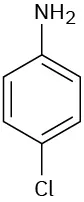 In a benzene ring, C 1 and C 4 are bonded to an amine group and a chlorine atom, respectively.