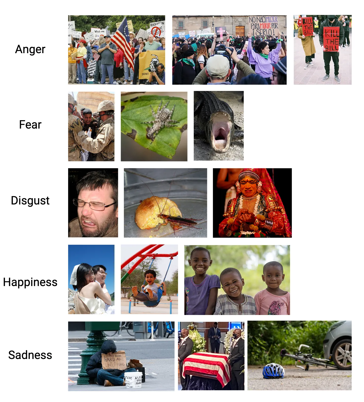 A collage of images of people and animals meant to evoke anger, fear, disgust, happiness, sadness