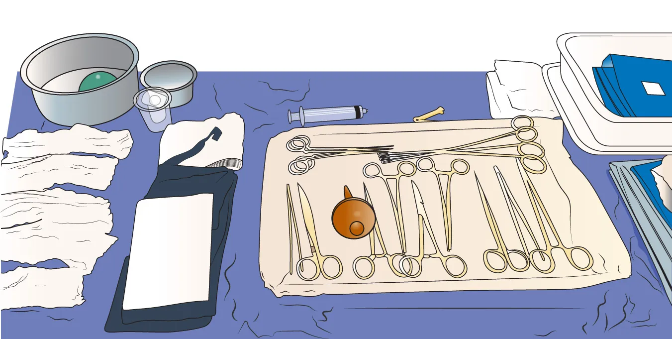 Table with vaginal delivery instruments, including bulb syringe, cord clamp, sponges, syringe, and drapes.