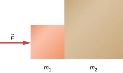 Na rysunku pokazano dwa klocki stykające się ze sobą. Mniejszy klocek ma masę m1, natomiast drugi z nich, większy, masę m2. Przyłożono do układu siłę F skierowaną w prawo, równolegle do podłoża.